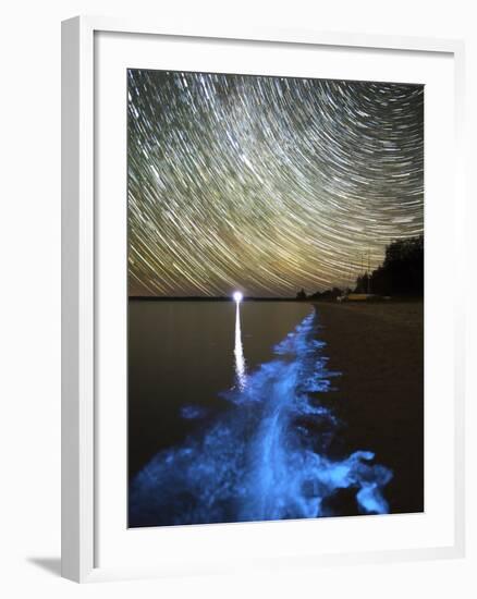 Star Trails And Bioluminescence, Gippsland Lakes, Australia-Stocktrek Images-Framed Photographic Print