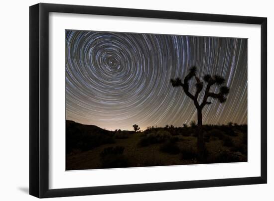 Star Trails and Joshua Trees in Joshua Tree National Park, California-null-Framed Photographic Print