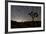 Star Trails and Joshua Trees in Joshua Tree National Park, California-null-Framed Photographic Print