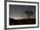 Star Trails and Joshua Trees in Joshua Tree National Park, California-null-Framed Photographic Print