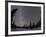 Star Trails and Milky Way-Stocktrek Images-Framed Photographic Print