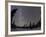 Star Trails and Milky Way-Stocktrek Images-Framed Photographic Print