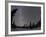 Star Trails and Milky Way-Stocktrek Images-Framed Photographic Print