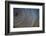 Star Trails, Artistic Interpreted-Niki Haselwanter-Framed Photographic Print