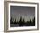 Star Trails, Milky Way and Green Aurora-Stocktrek Images-Framed Photographic Print