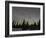 Star Trails, Milky Way and Green Aurora-Stocktrek Images-Framed Photographic Print