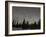 Star Trails, Milky Way and Green Aurora-Stocktrek Images-Framed Photographic Print