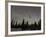 Star Trails, Milky Way and Green Aurora-Stocktrek Images-Framed Photographic Print