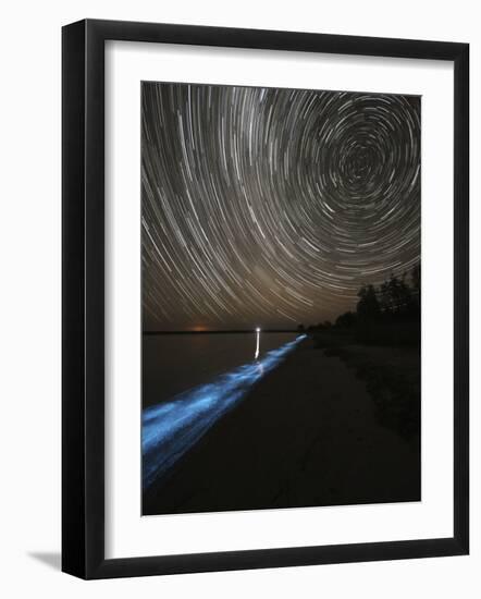 Star Trails over Bioluminescence in Waves on the Shores of the Gippsland Lakes, Australia-null-Framed Photographic Print