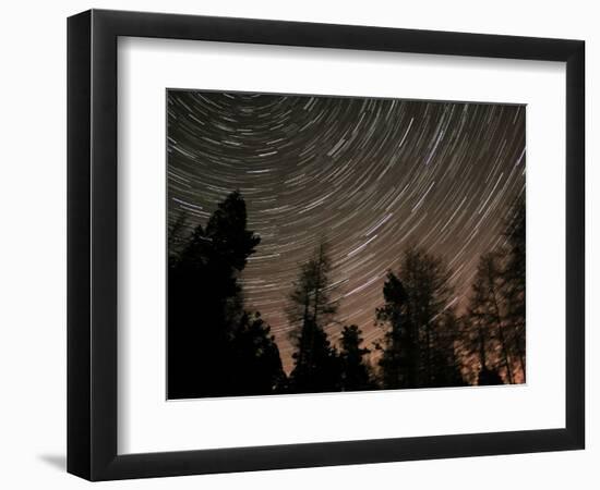 Star Trails over the Trees in Aberdeen, Scotland-null-Framed Photographic Print