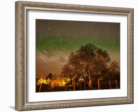 Star Trails Over Walnut Tree, Domain Road Vineyard, Central Otago, South Island, New Zealand-David Wall-Framed Photographic Print