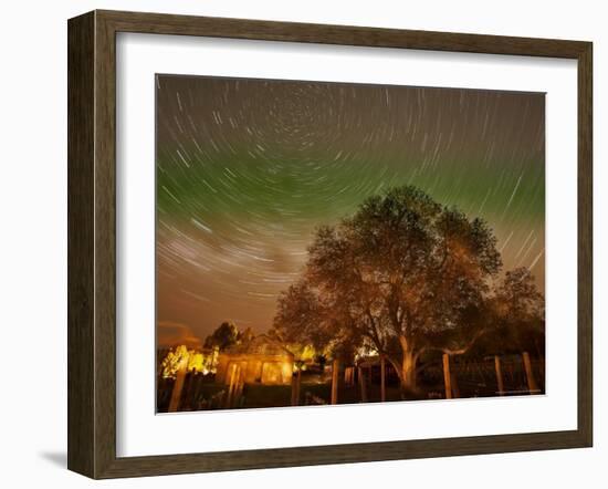 Star Trails Over Walnut Tree, Domain Road Vineyard, Central Otago, South Island, New Zealand-David Wall-Framed Photographic Print