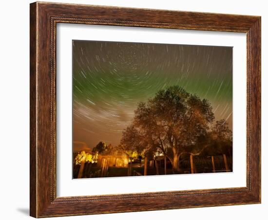 Star Trails Over Walnut Tree, Domain Road Vineyard, Central Otago, South Island, New Zealand-David Wall-Framed Photographic Print