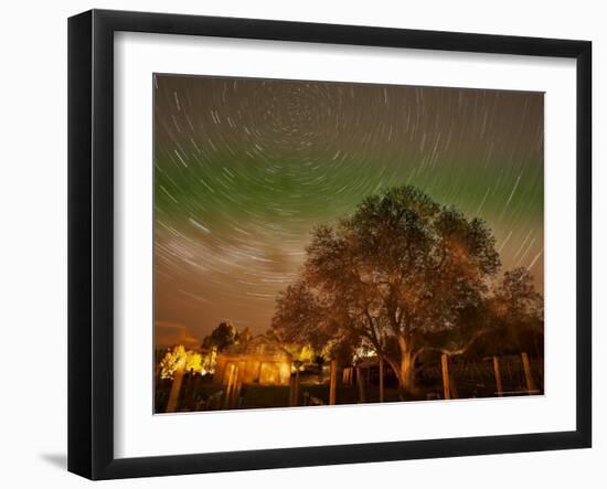 Star Trails Over Walnut Tree, Domain Road Vineyard, Central Otago, South Island, New Zealand-David Wall-Framed Photographic Print