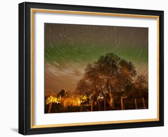 Star Trails Over Walnut Tree, Domain Road Vineyard, Central Otago, South Island, New Zealand-David Wall-Framed Photographic Print