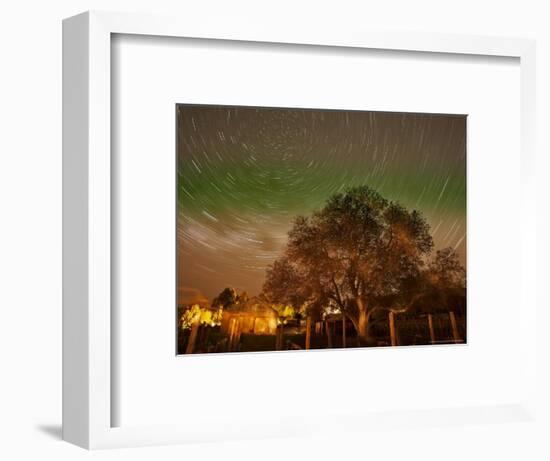 Star Trails Over Walnut Tree, Domain Road Vineyard, Central Otago, South Island, New Zealand-David Wall-Framed Photographic Print