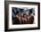 Star Trek Iii : The Search For Spock (photo)-null-Framed Photo