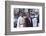 Star Trek Iv : The Voyage Home (photo)-null-Framed Photo