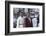 Star Trek Iv : The Voyage Home (photo)-null-Framed Photo