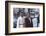 Star Trek Iv : The Voyage Home (photo)-null-Framed Photo