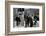 Star Trek Iv : The Voyage Home (photo)-null-Framed Photo