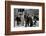 Star Trek Iv : The Voyage Home (photo)-null-Framed Photo