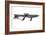 Star Trek Mark I Phaser Rifle, Made for 'Star Trek: First Contact', C.1996-American School-Framed Photographic Print