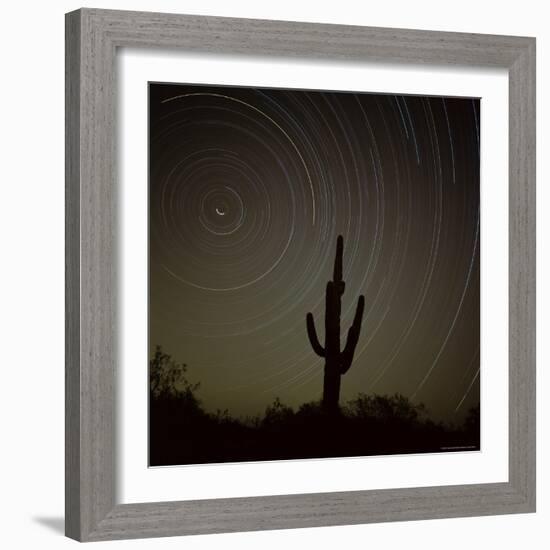 Star Trek Over Cacti, Tracing Stars as They Move Round North Star, Tucson, Arizona, USA-Tony Gervis-Framed Photographic Print