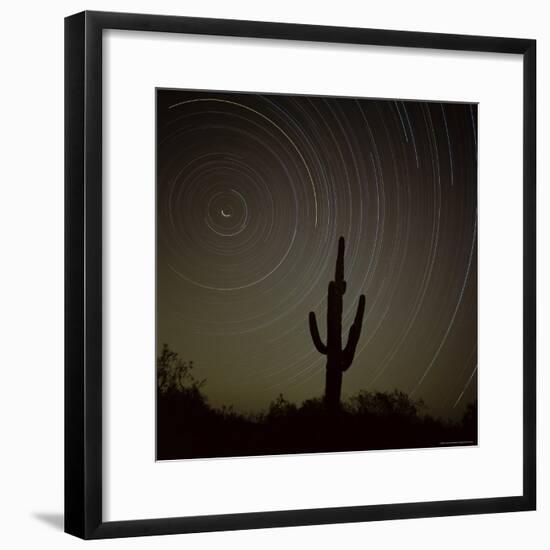 Star Trek Over Cacti, Tracing Stars as They Move Round North Star, Tucson, Arizona, USA-Tony Gervis-Framed Photographic Print