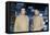 Star Trek The Motion Pictures (photo)-null-Framed Stretched Canvas