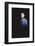 Star Trek The Motion Pictures (photo)-null-Framed Photo