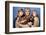 Star Trek : The Wrath Of Khan (photo)-null-Framed Photo