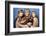 Star Trek : The Wrath Of Khan (photo)-null-Framed Photo