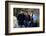 Star Trek V : The Final Frontier (photo)-null-Framed Photo