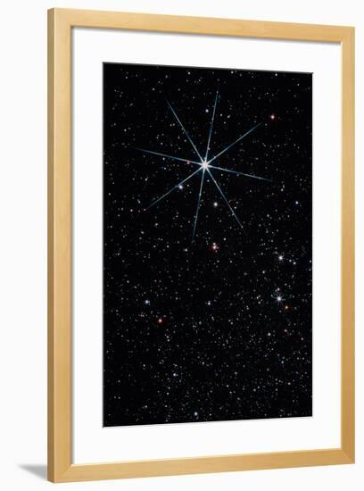 Star Vega In the Constellation of Lyra-John Sanford-Framed Photographic Print