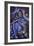 Star Visions-Sue Clyne-Framed Giclee Print