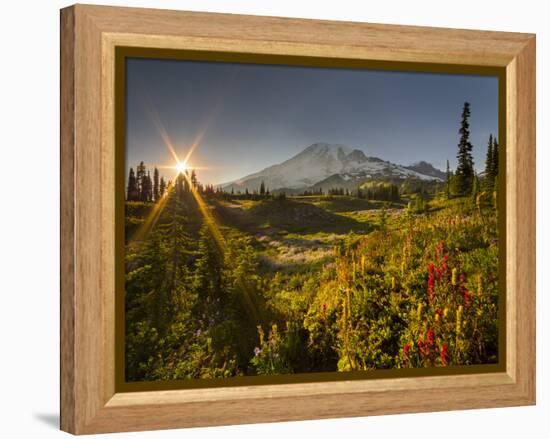 Starburst Setting Sun, Subalpine Wildflowers and Mt. Rainier at Mazama Ridge, Paradise Area-Gary Luhm-Framed Premier Image Canvas