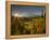 Starburst Setting Sun, Subalpine Wildflowers and Mt. Rainier at Mazama Ridge, Paradise Area-Gary Luhm-Framed Premier Image Canvas