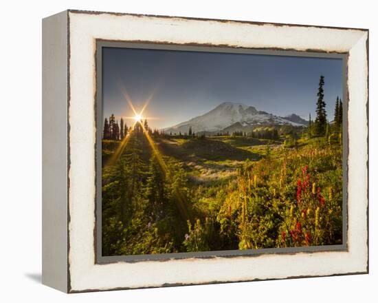 Starburst Setting Sun, Subalpine Wildflowers and Mt. Rainier at Mazama Ridge, Paradise Area-Gary Luhm-Framed Premier Image Canvas