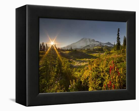 Starburst Setting Sun, Subalpine Wildflowers and Mt. Rainier at Mazama Ridge, Paradise Area-Gary Luhm-Framed Premier Image Canvas