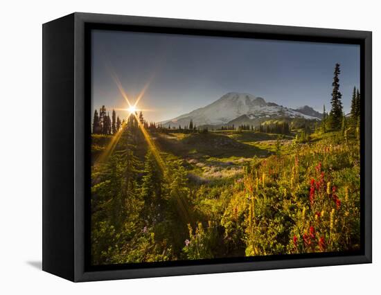 Starburst Setting Sun, Subalpine Wildflowers and Mt. Rainier at Mazama Ridge, Paradise Area-Gary Luhm-Framed Premier Image Canvas