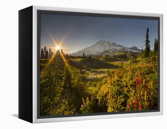 Starburst Setting Sun, Subalpine Wildflowers and Mt. Rainier at Mazama Ridge, Paradise Area-Gary Luhm-Framed Premier Image Canvas