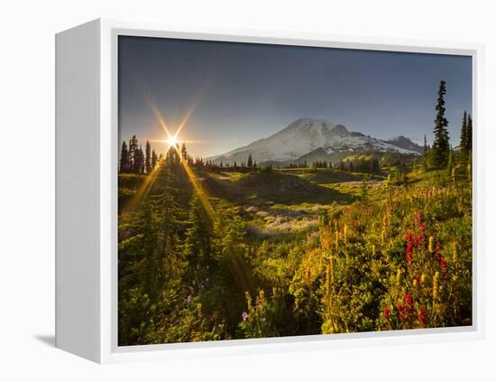 Starburst Setting Sun, Subalpine Wildflowers and Mt. Rainier at Mazama Ridge, Paradise Area-Gary Luhm-Framed Premier Image Canvas