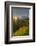 Starburst Setting Sun, Subalpine Wildflowers and Mt. Rainier at Mazama Ridge, Paradise Area-Gary Luhm-Framed Photographic Print