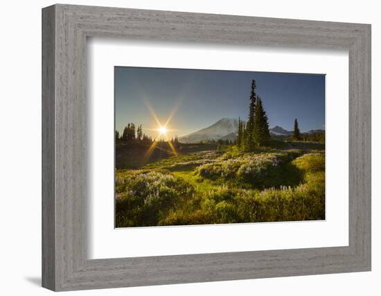 Starburst Setting Sun, Subalpine Wildflowers and Mt. Rainier at Mazama Ridge, Paradise Area-Gary Luhm-Framed Photographic Print