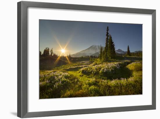 Starburst Setting Sun, Subalpine Wildflowers and Mt. Rainier at Mazama Ridge, Paradise Area-Gary Luhm-Framed Photographic Print