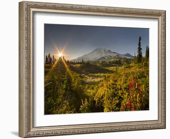 Starburst Setting Sun, Subalpine Wildflowers and Mt. Rainier at Mazama Ridge, Paradise Area-Gary Luhm-Framed Photographic Print