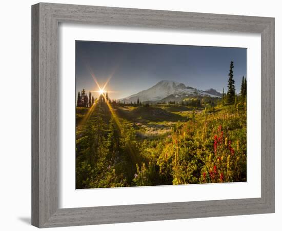 Starburst Setting Sun, Subalpine Wildflowers and Mt. Rainier at Mazama Ridge, Paradise Area-Gary Luhm-Framed Photographic Print