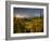 Starburst Setting Sun, Subalpine Wildflowers and Mt. Rainier at Mazama Ridge, Paradise Area-Gary Luhm-Framed Photographic Print