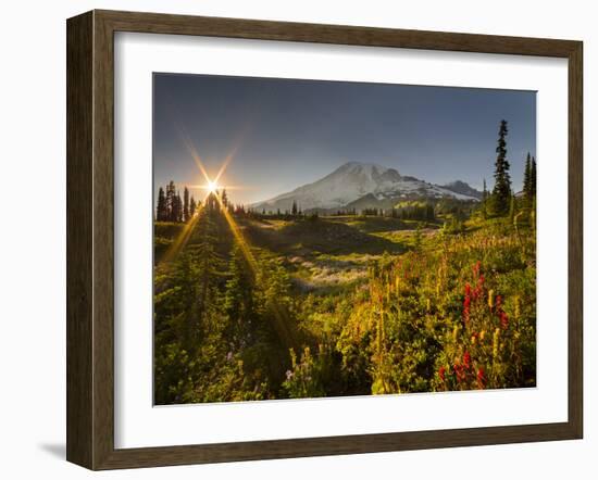 Starburst Setting Sun, Subalpine Wildflowers and Mt. Rainier at Mazama Ridge, Paradise Area-Gary Luhm-Framed Photographic Print